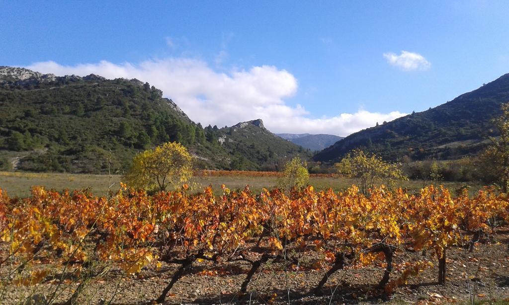 Au Paradis Cathare Fraissé-des-Corbières Екстериор снимка